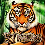 5 Tigers